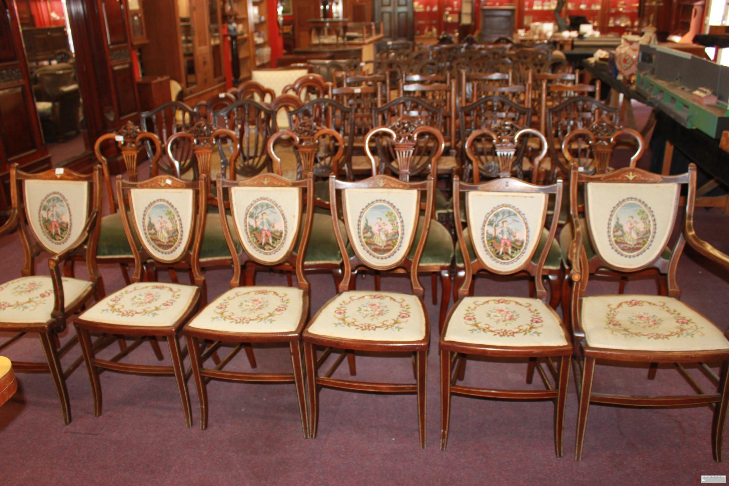 Rows of mahogany Edwardian salon chairs with needlework seats and painted oval backs, on a carpeted saleroom floor