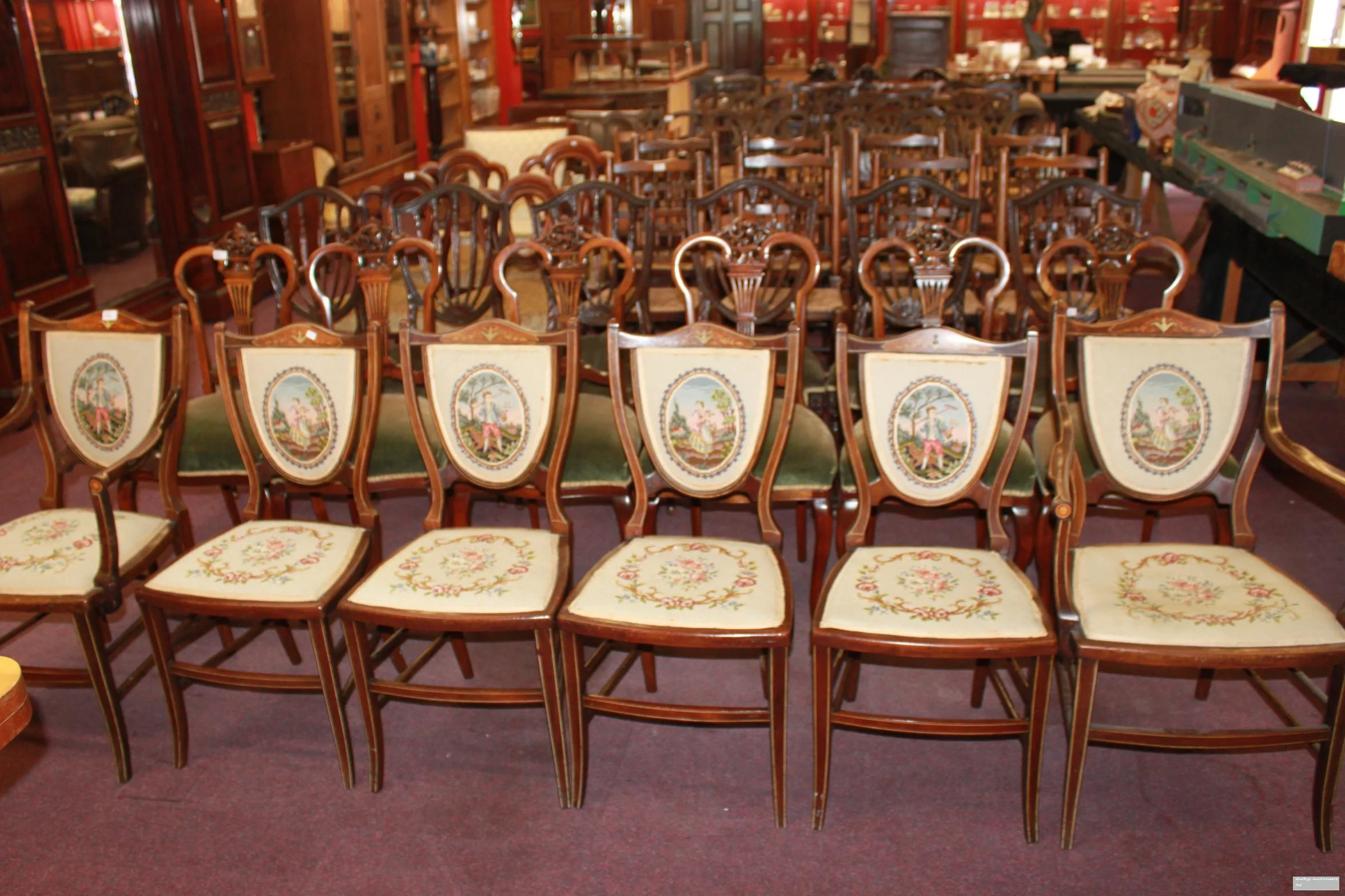 Rows of mahogany Edwardian salon chairs with needlework seats and painted oval backs, on a carpeted saleroom floor